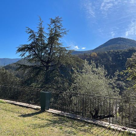 Villa Les Oliviers Maison D'Hotes Saint-Laurent-le-Minier Dış mekan fotoğraf