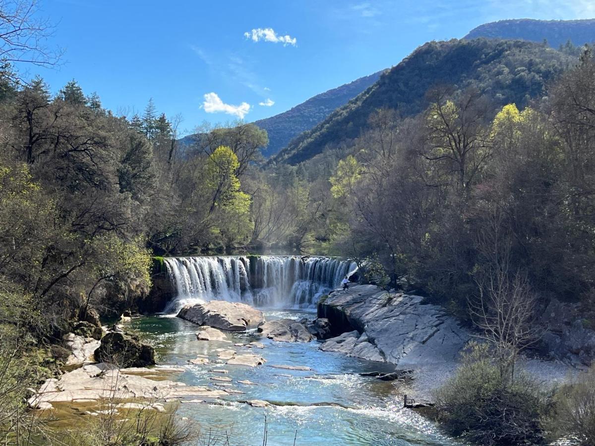 Villa Les Oliviers Maison D'Hotes Saint-Laurent-le-Minier Dış mekan fotoğraf